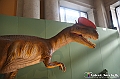 VBS_0938 - Dinosauri. Terra dei giganti